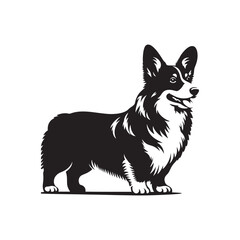 Cardigan Welsh Corgi Silhouette - Cardigan Welsh Corgi Vector - Illustration of Cardigan Welsh Corgi.