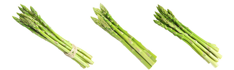 Fototapeta premium High-Quality PNG of Asparagus isolated on transparent png – High Resolution