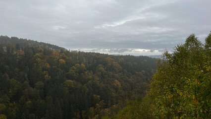 View of autumn mountain forest with cloudy weather. Poland