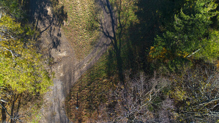 Autumn trees stand along a mountain road. Autumn landscape. Poland
