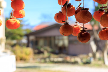 軒先に吊るされた干し柿