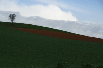 Panorama Monferrato - Cuccaro - Piemonte - Italia