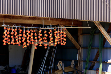 軒先に吊るされた干し柿