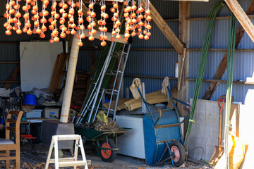 軒先に吊るされた干し柿