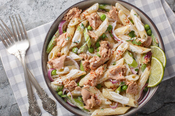 Tender tuna salad with penne pasta, green peas, red onion and celery close-up in a plate on the table. Horizontal top view from above