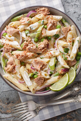 Diet healthy tuna salad with penne pasta, green peas, red onion and celery seasoned with yogurt close-up in a plate on the table. Vertical top view from above