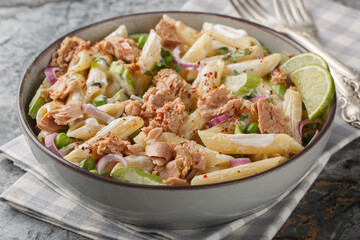 Pasta salad with tuna fish and vegetables with creamy yogurt dressing closeup on the plate on the table. Horizontal