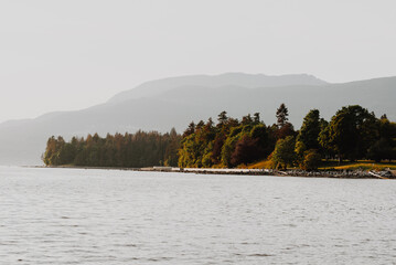 Autumn park in the ocean bay