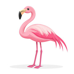 Fototapeta premium Pink Flamingo Illustration