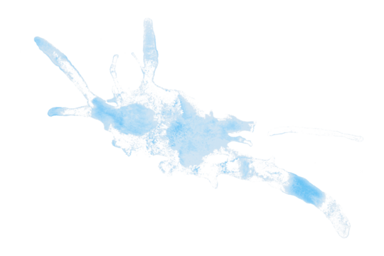 Separate light blue watercolor splash on transparent background.