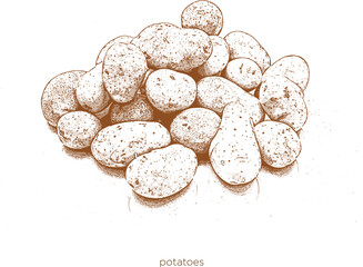 Halftone colorful concept vector fruits