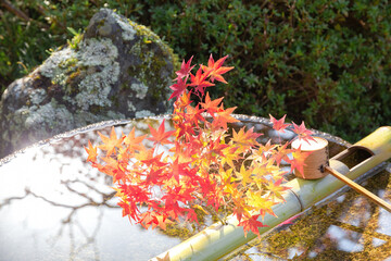 圓光寺の水琴窟