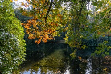 Autumn foliage reflecting on a serene pond.