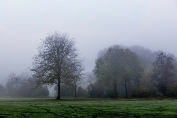 Misty morning park landscape with cyclist