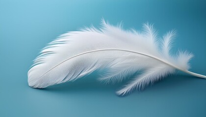 Fototapeta premium 冬の冷たい空気を象徴するライトブルー背景に、白いフェザーが静かに配置されたシンプルなデザイン。
