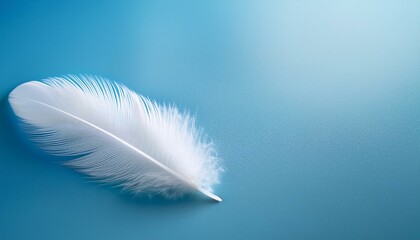 Fototapeta premium 淡いブルーの背景に小さな白いフェザーが隅にそっと置かれ、冬の冷たさと柔らかさを感じる構図。