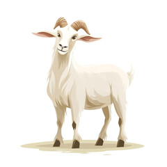 Obraz premium A Friendly White Goat