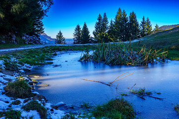 Frozen pond surrounded by grasses. Biotope in the Alps in autumn.