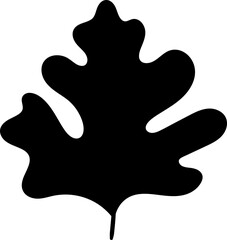 Whimsical Oak Leaf Graphic