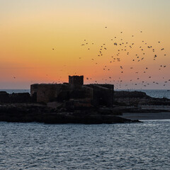 Essaouira