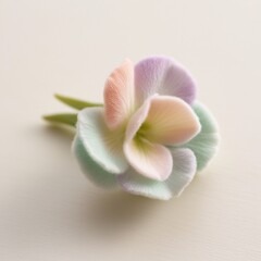 orchid flower on a white background