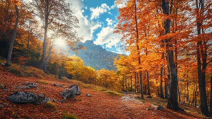 Obraz premium Autumn forest path, fall foliage, mountain landscape