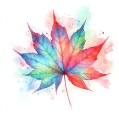 오로라 색상의 단풍잎, 수채화 (an aurora colored maple leaf, water colour)