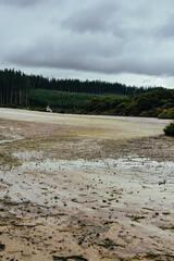 Fotografía de la actividad geotermal en Wai O Tapu Park, Rotorua, Nueva Zelanda.