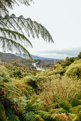 Fototapeta premium Fotografía del Waimangu Volcanic Valley en Rotorua, Nueva Zelanda.