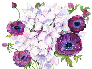 Marvelous violet, purple and burgundy anemone, with hydrangea, bouquet, watercolor, hand painting.PNG © Natalia
