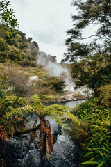 Fotografía del Waimangu Volcanic Valley en Rotorua, Nueva Zelanda.