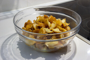 Orange autumn mushrooms honey fungus, clean in a bowl, food