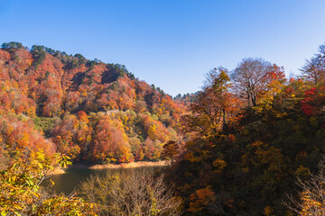 湖畔の紅葉