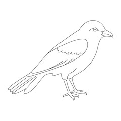 Fototapeta premium Bird Single continuous line art