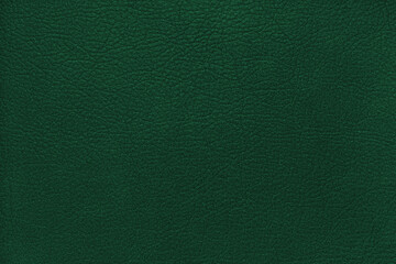Natural, genuine solid green leather texture close up, macro. Structure of matte leatherette, artifical skin surface with embossing pattern. Background, wallpaper, backdrop © katyamaximenko