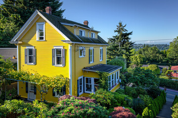 From an elevated viewpoint, the sunny lemon yellow house with traditional windows and shutters stands out amidst the greenery, its cheerful presence enhancing the beauty of the suburban neighborhood