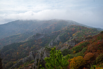 Naklejka premium 日本の香川県の小豆島の寒霞渓の秋の美しい紅葉