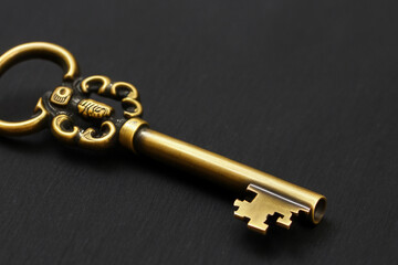 Golden key on. gold shiny metal concept. a small golden key lies on a . a small gold key lies on a lifestyle.