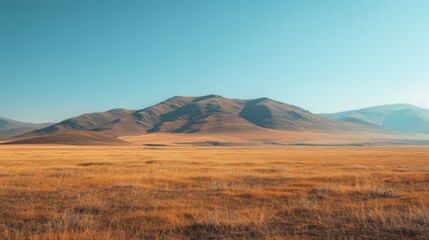 Mountain Range and Dry Grassland