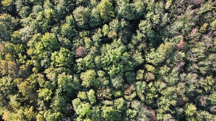 Road from above. Autumn in Czechia.