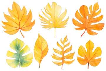 Obraz premium Set Bright tropical leaves on an isolated. Yellow, orange dry leaves watercolor hand drawing, Generative AI