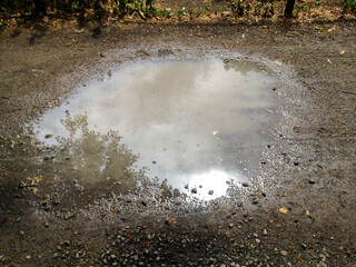 puddle on the path