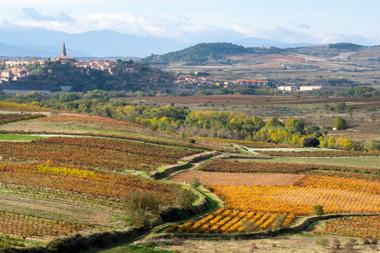 Gently rolling hills of vineyards stretch towards a distant idyllic village, painted in warm autumn colors, highlighting the charm and tranquility of rural living in Briones in La Rioja 