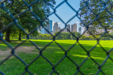 Fototapeta premium Sheep Meadow in Central Park seen through a metal fence