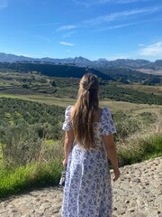 Elegant woman in classy dress walking through wine fields, fashion model in stylish dress posing in vineyard with sky backdrop, beautiful lady in elegant gown surrounded by lush wine fields, glamorous
