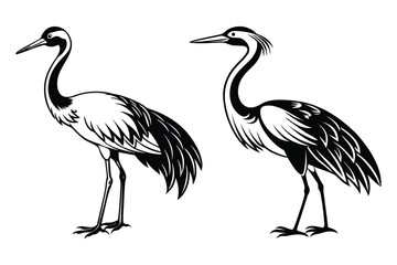 crane animal silhouette vector illustration white background