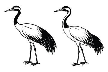 crane animal silhouette vector illustration white background