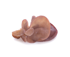 Fototapeta premium Fresh wood ear mushrooms on white background