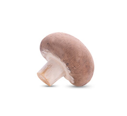 Fresh shiitake mushrooms on white background
