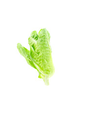 Cos Lettuce on white background